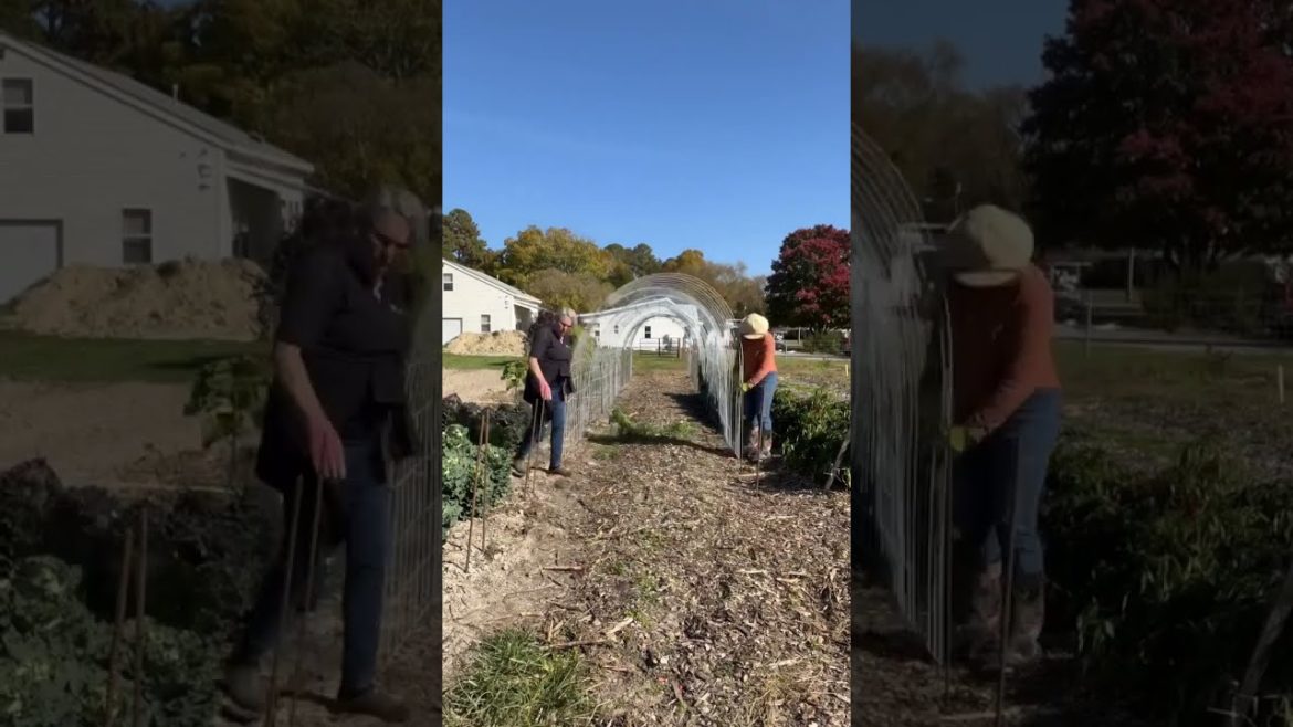 Part 1: Girl power! Building livestock panel trellis tunnel