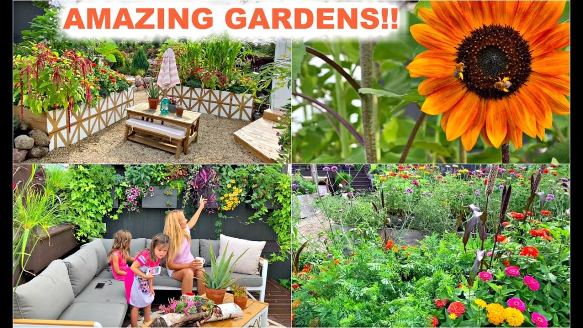 Garden Vlog | Walk through the Garden | Garden Tips