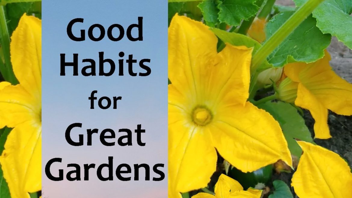 Top 3 Garden Tips