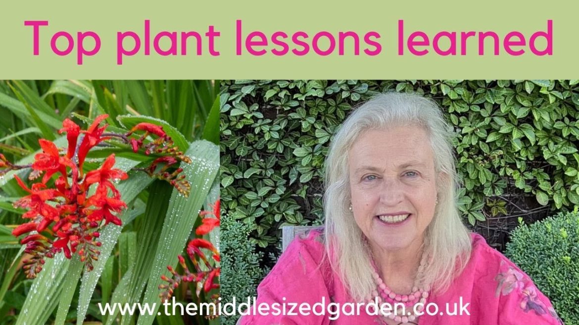 High summer garden tour + gardening tips