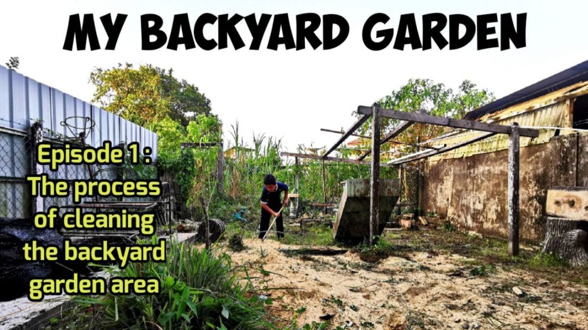 My Backyard Garden / Episode 1: The process of cleaning the backyard garden area