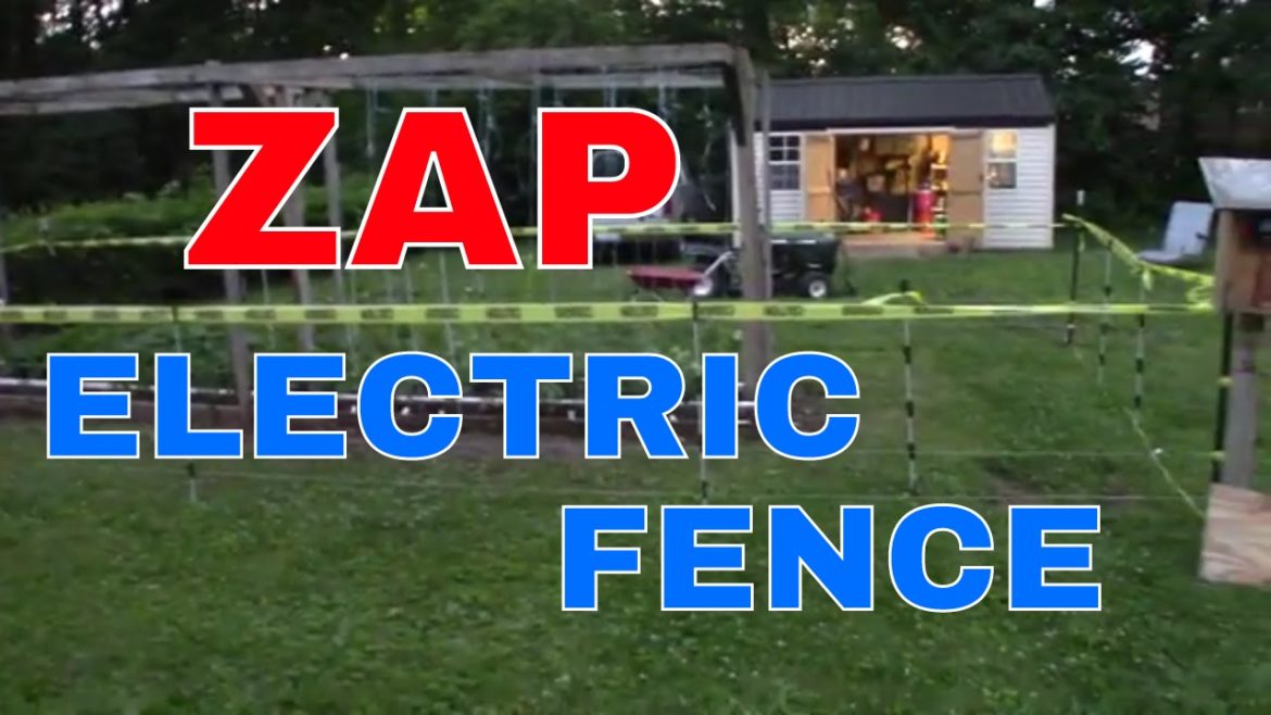 Mittleider Gardening: How To Setup A  Simple Electric Fence