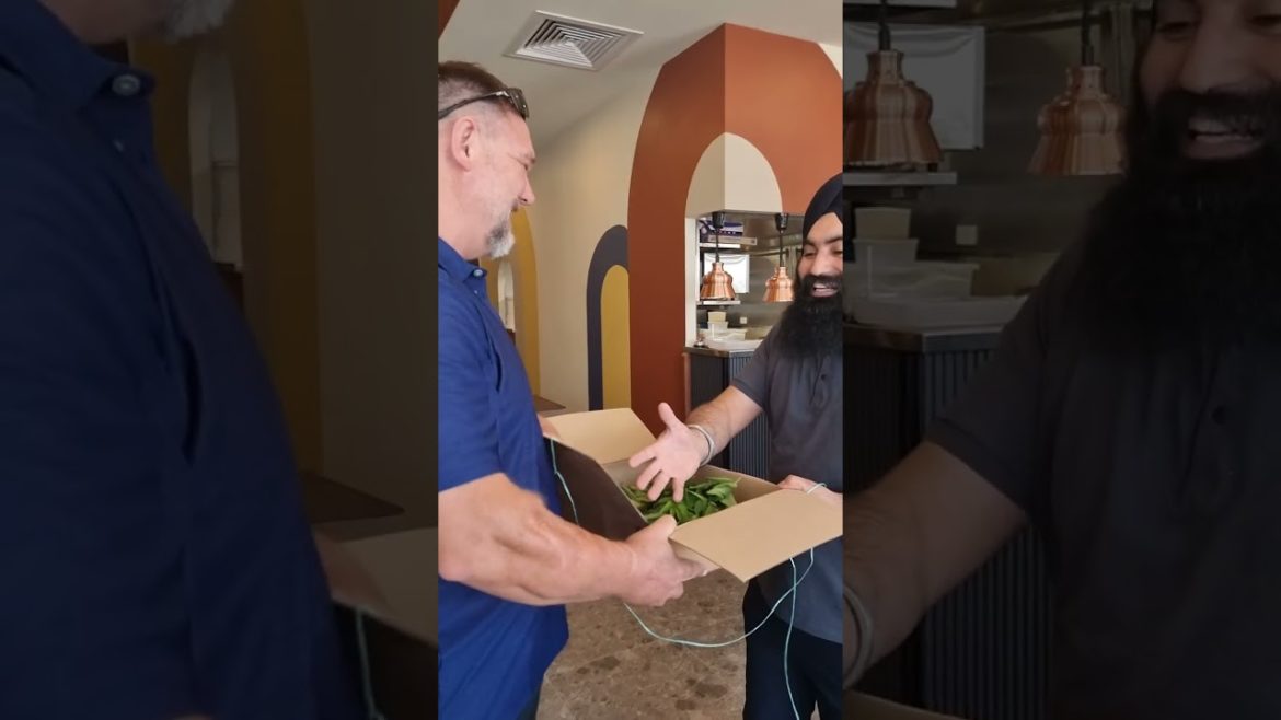 We Give Curry Leaves to a NEW Indian Restaurant