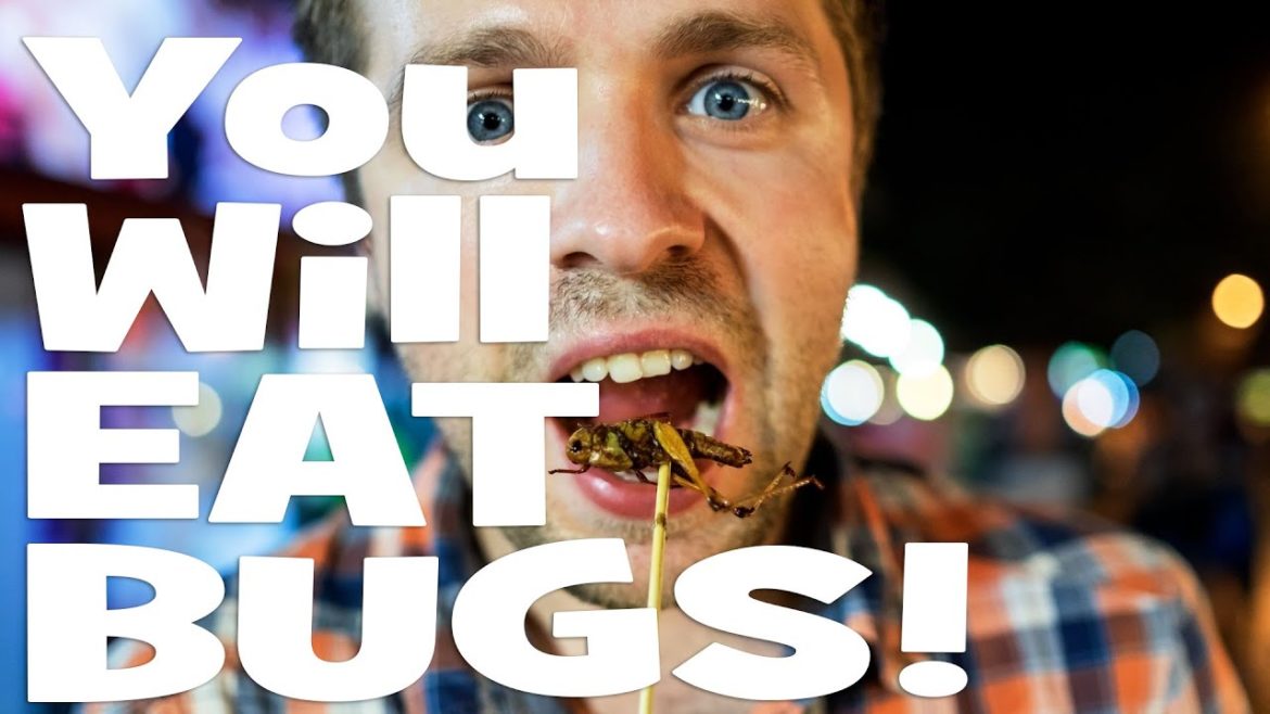 Food Shortages GARDENING Why NOW ๐
Food Shortages GARDENING Why NOW ๐