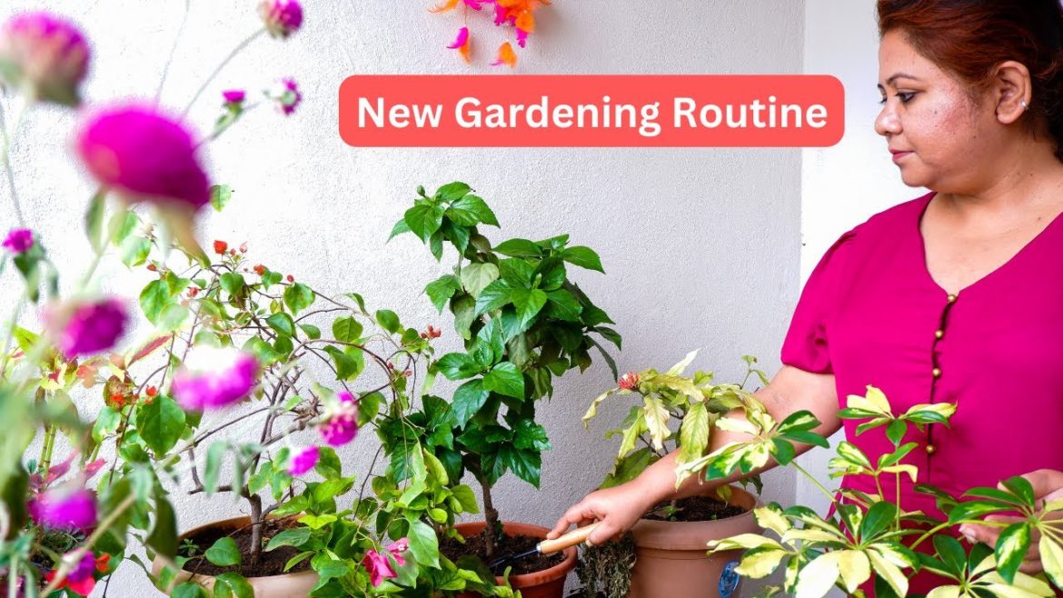 My New Gardening Routine | 9 Gardening Tips | Basics Of Gardening | Gardening Vlog