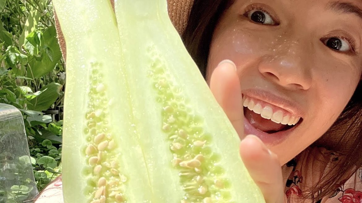 This is NOT Cucumber! #shorts