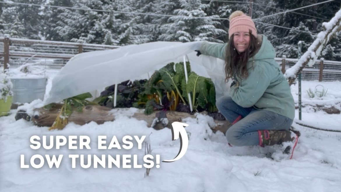 Installing EASY Garden LOW TUNNELS for Winter! | Winter Gardening Installing EASY Garden LOW TUNNELS for Winter! | Winter Gardening