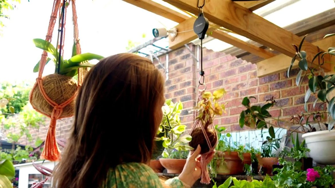 The Garden Gurus - Edible or Flower of the week