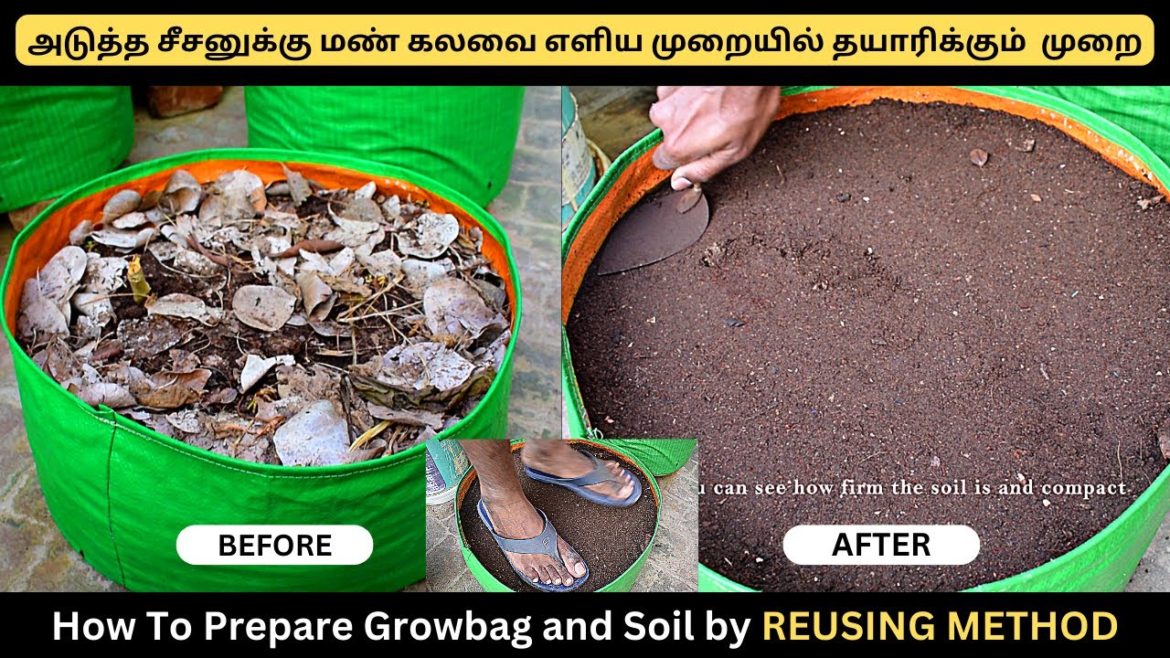 செலவு மிச்சம் 😄😃| How To Prepare Growbag and Soil For Next Season #gardeningtips #diygarden #nature செலவு மிச்சம் 😄😃| How To Prepare Growbag and Soil For Next Season #gardeningtips #diygarden #nature