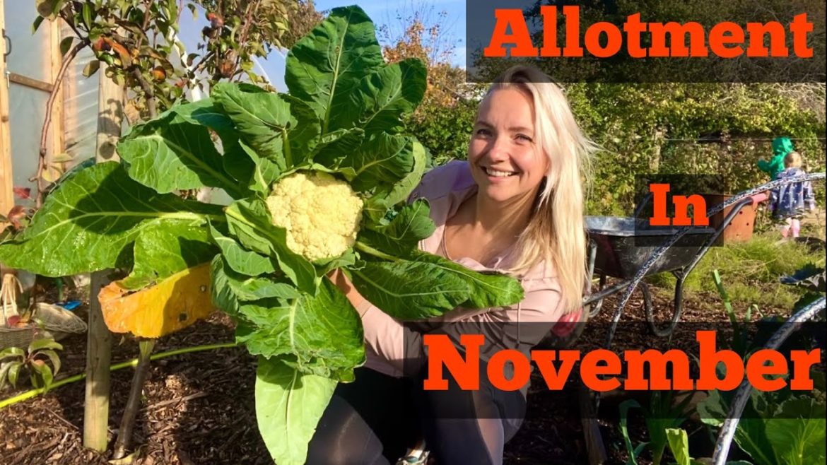 November Garden/Allotment Tour | NO DIG | Allotment U.K. | Building Permaculture garden