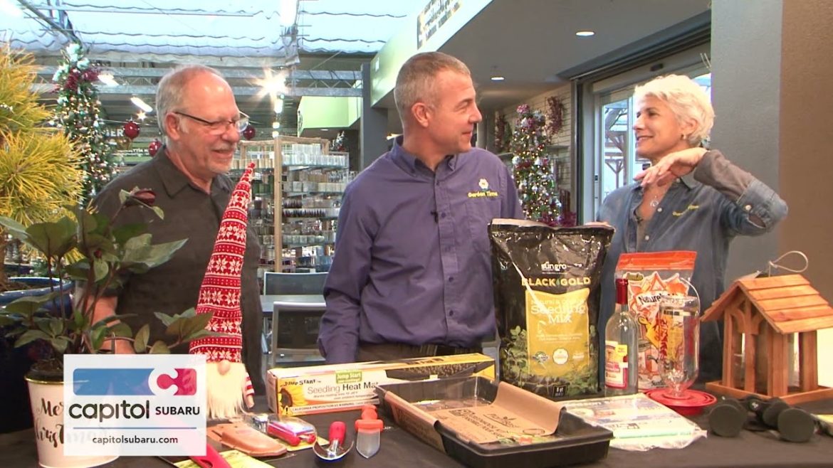 Podcast 9 - Gifts for the Gardener