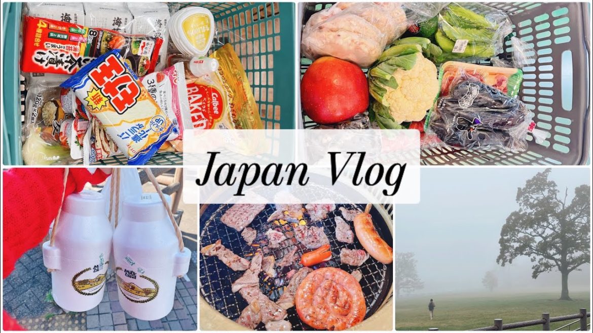 Grocery Shopping in Japan | Japanese Yakiniku , Chirimen(Baby Sardine)Side Dish,Autumn in Japan ππ Grocery Shopping in Japan | Japanese Yakiniku , Chirimen(Baby Sardine)Side Dish,Autumn in Japan ππ