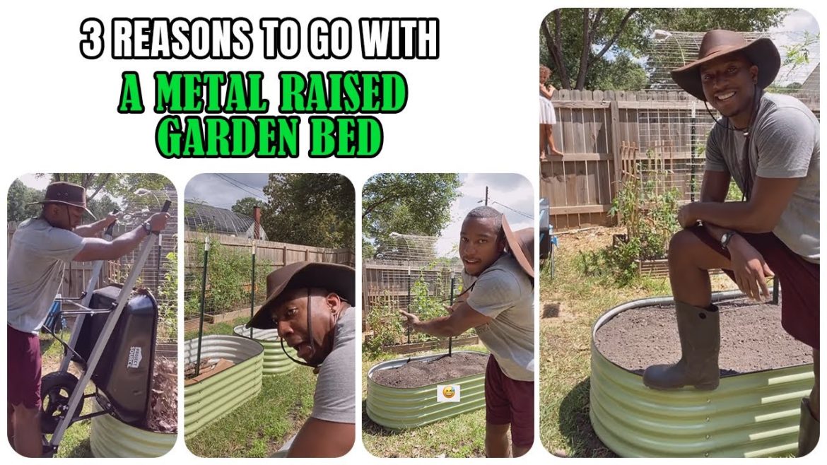 Black Friday:Olle Metal Raised Garden Beds, 3 Reasons Beginners Buy – Olle Gardens Black Friday Deal Black Friday:Olle Metal Raised Garden Beds, 3 Reasons Beginners Buy - Olle Gardens Black Friday Deal