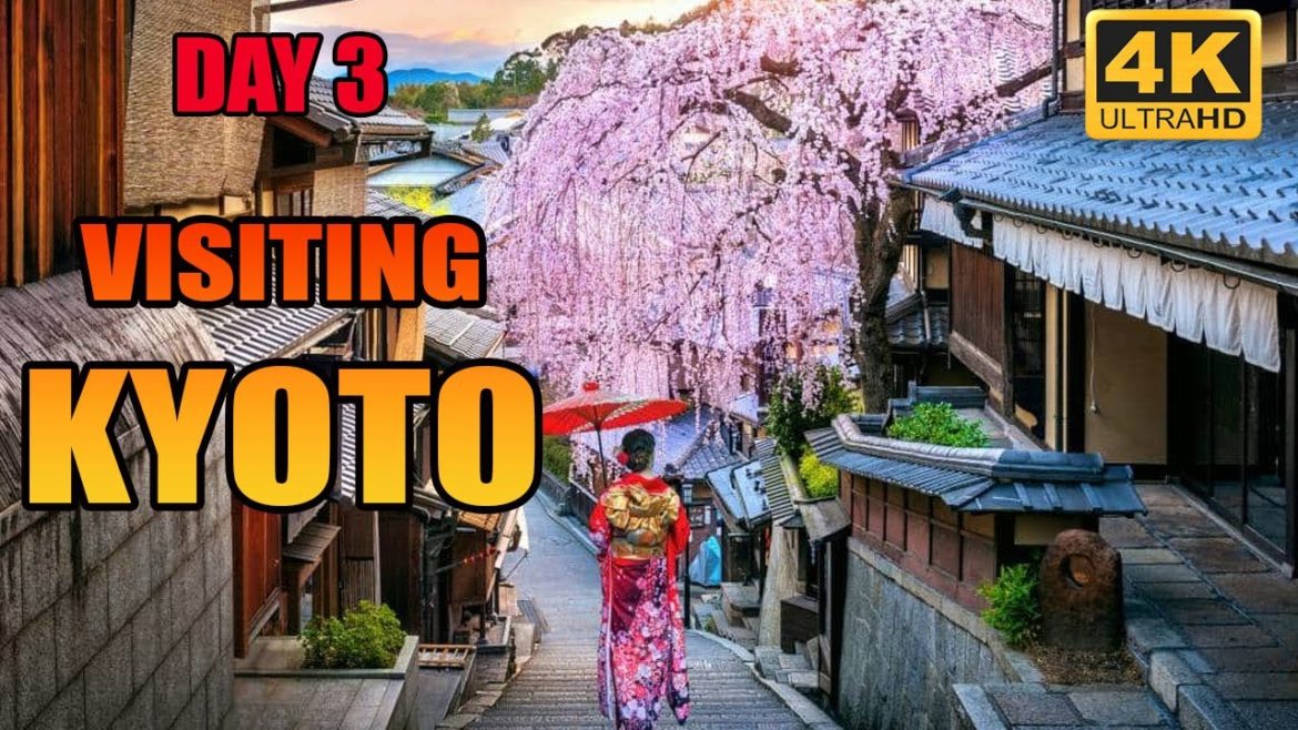 Japan Trip Day 3: Visiting Kyoto in 4k