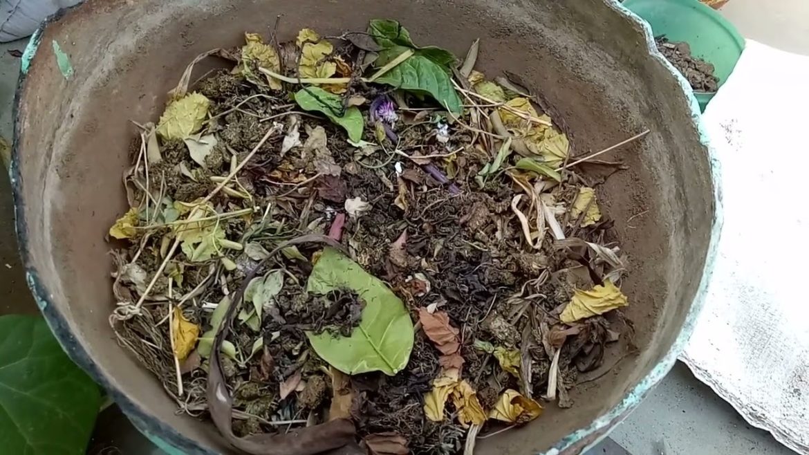 It's free....great idea for making container garden from waste materials/ Zero budget Gardening 🌱🤗