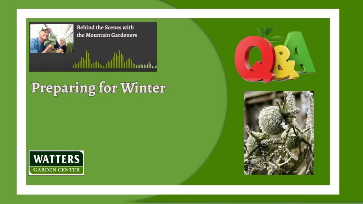 Behind the Scenes with the Mountain Gardeners Q&A – Preparing for Winter