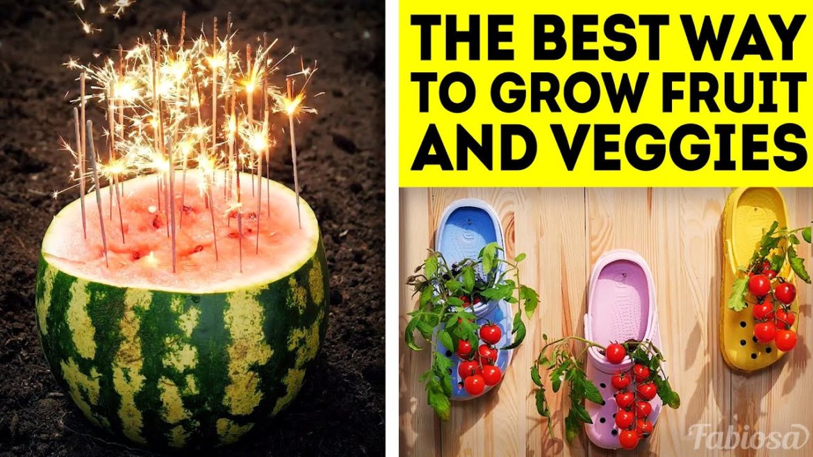 Crazy gardening hacks you should try today