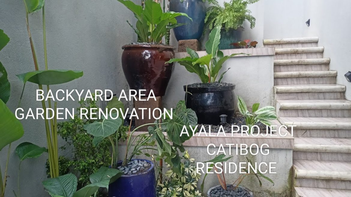 backyard area landscape renovation