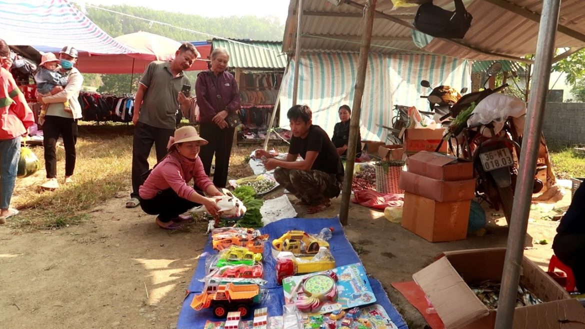 Harvest vegetable gardens, swans, go to the market to sell - Thanh Building life