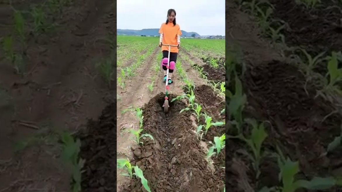 New creative agriculture ideas with homemade tools No.8 #Shorts New creative agriculture ideas with homemade tools No.8 #Shorts