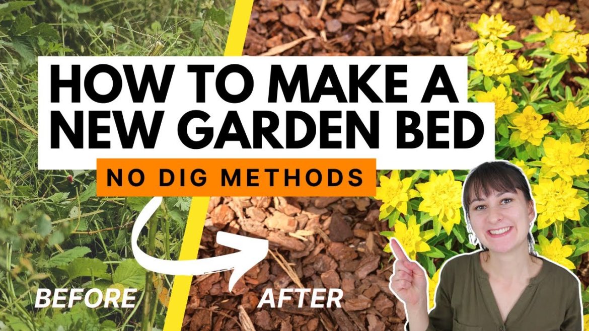 Easy recipes for creating a new garden bed WITHOUT DIGGING 🪴 Lawn Removal Part 1