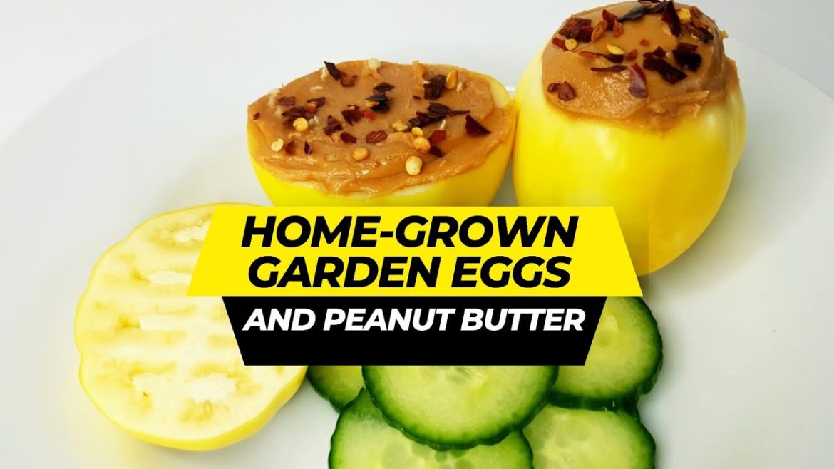 🤔Garden Egg (Egg plant) grown from seeds and Peanut Butter ~ So yum 😋