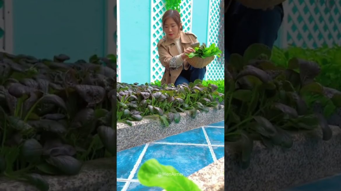 Beautiful Nature with Rural Life #shorts #naturalife #rurallife