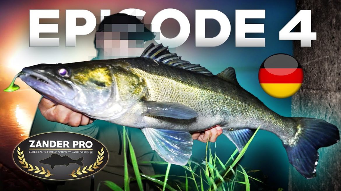 ZANDER PRO 2 – Episode 4 (Deutsche version) ZANDER PRO 2 - Episode 4 (Deutsche version)