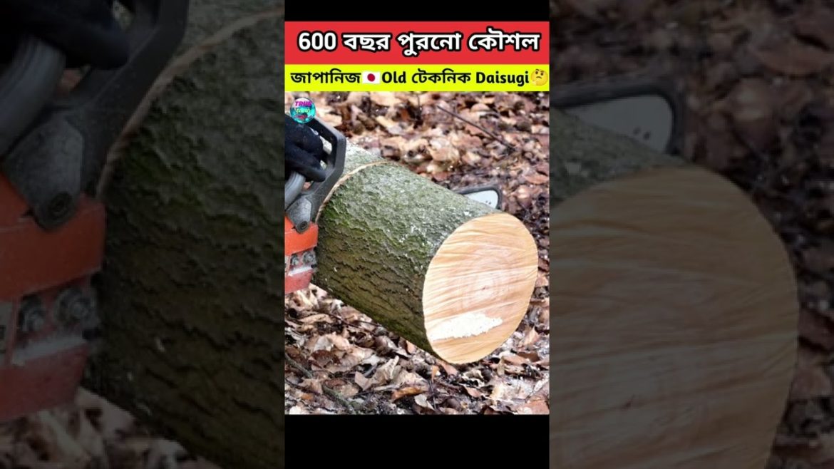 Japanese old technique daisugi || #shorts #youtubeshort #ytshorts #viral #trend