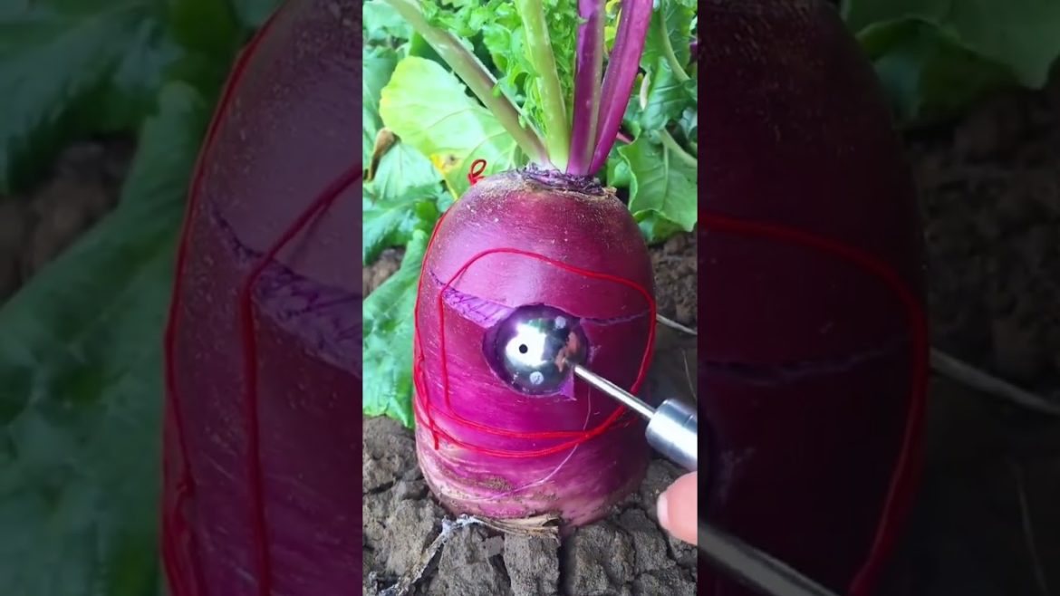 plants gardening food #trending #shorts #video #tiktok