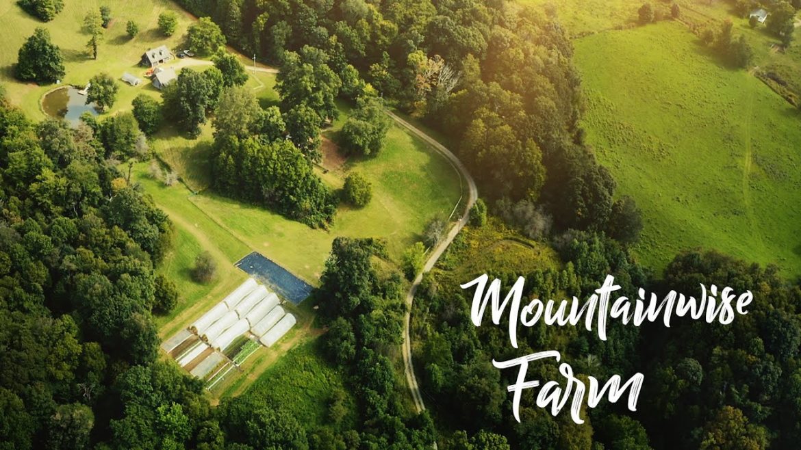 Caterpillar Tunnels Save Mountainside Farm in Temperate Rainforest Caterpillar Tunnels Save Mountainside Farm in Temperate Rainforest