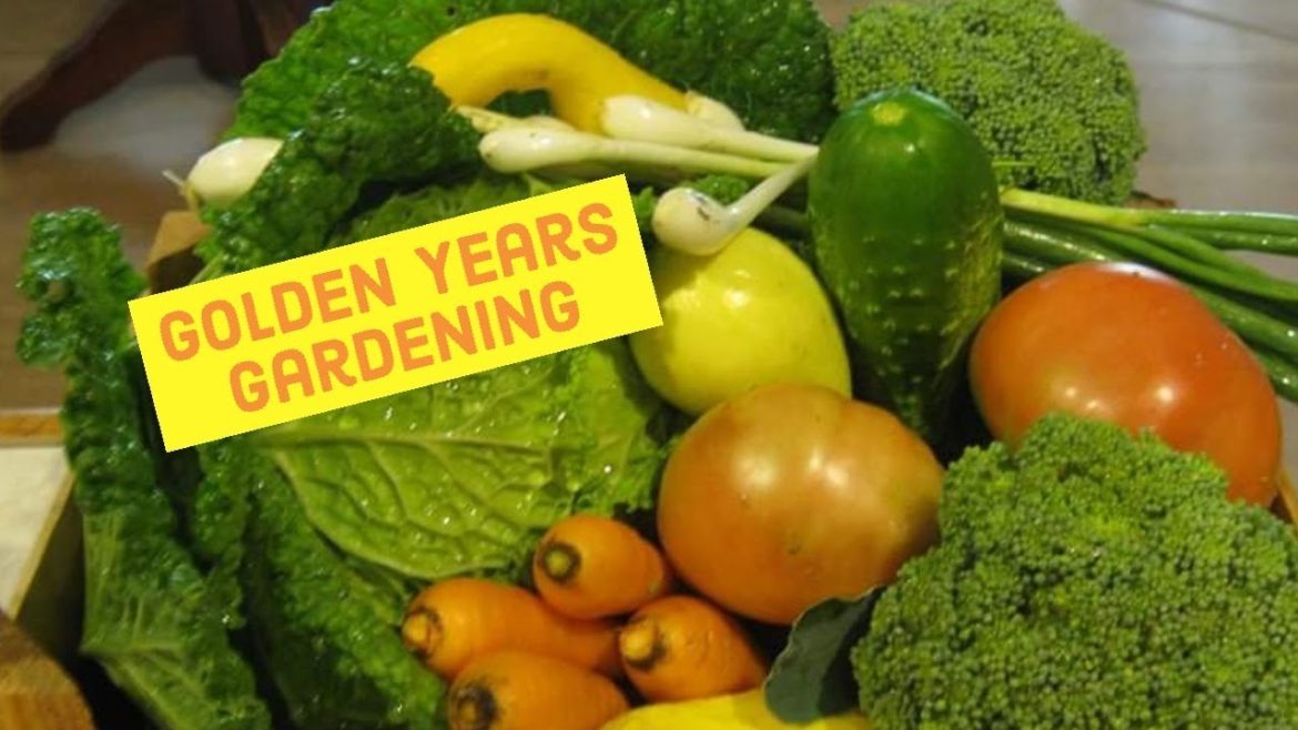 PLANS for GARDENING as we AGE PLANS for GARDENING as we AGE