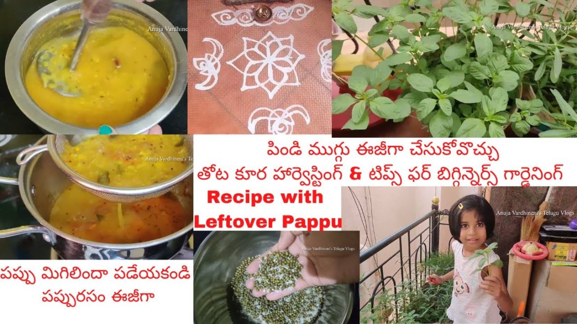 Leftover Pappu Recipe | Terrace Gardening Tips | How to prepare Pindi Muggulu | Perfect Pesarattu Leftover Pappu Recipe | Terrace Gardening Tips | How to prepare Pindi Muggulu | Perfect Pesarattu