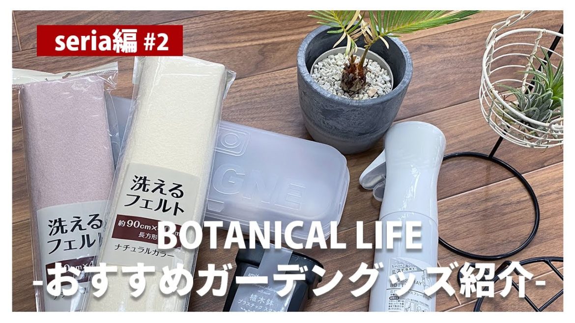 【seria購入品紹介】観葉植物初心者にもおすすめ!便利で使いやすいガーデングッズ7選 #観葉植物 #観葉植物のある暮らし #plants 【seria購入品紹介】観葉植物初心者にもおすすめ!便利で使いやすいガーデングッズ7選 #観葉植物 #観葉植物のある暮らし #plants