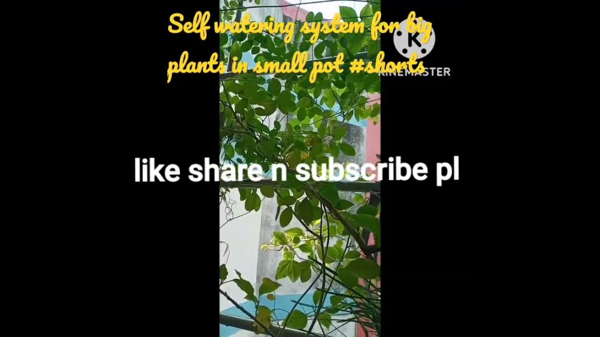 amazing self watering system for plants|self watering  pot/auto watering|#gardeninghacks#ytshorts