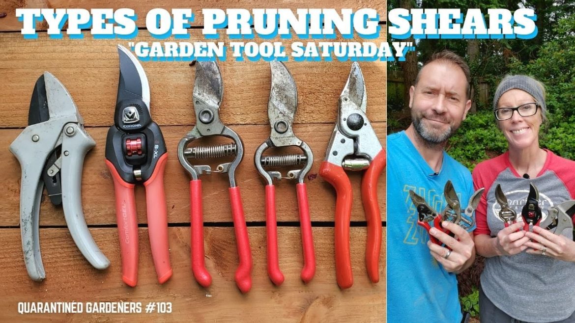 🛠 Garden Tool Saturday: Pruning Shears - QG Day 103 🛠
