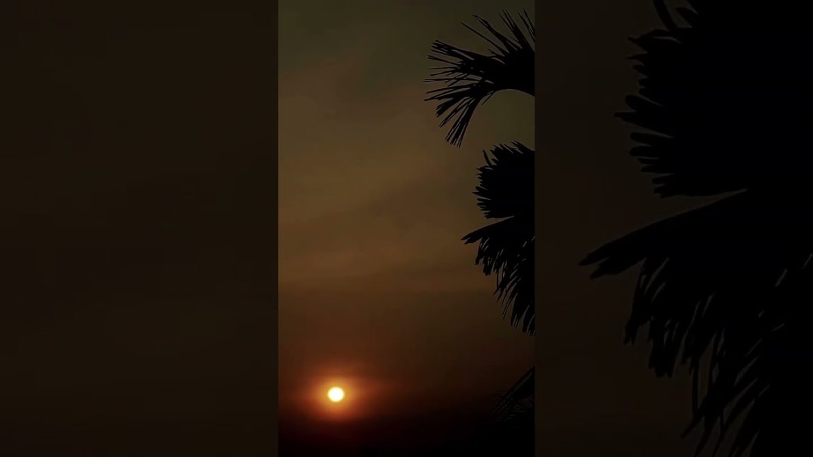 Wildlife #shortfeed #shortvideo    #shortfeed2022 #nature #naturelover #trees #shortvideo