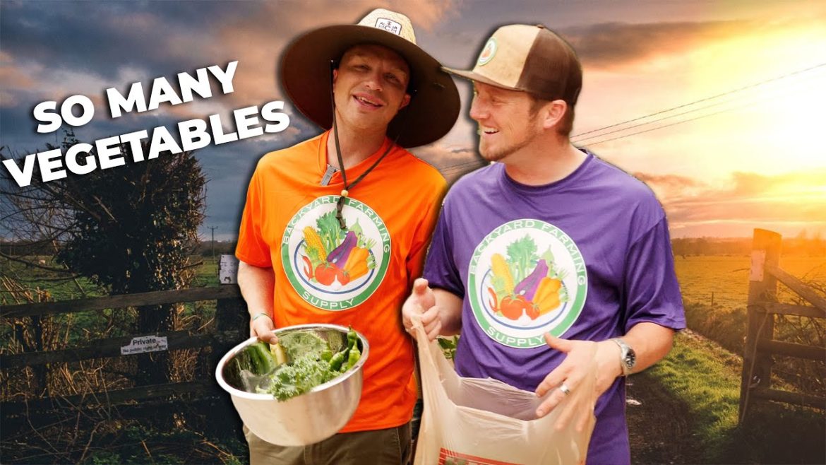 Learn the SECRETS to Garden Harvesting like a Pro!