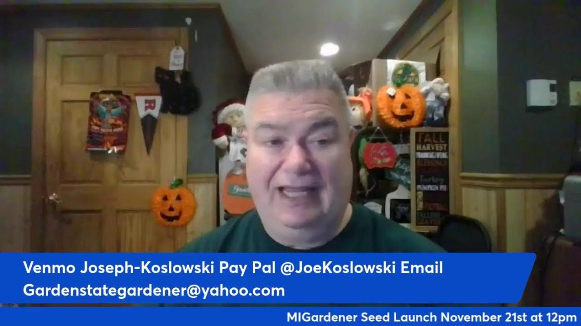 Sunday Funday (Interview with MIgardener)