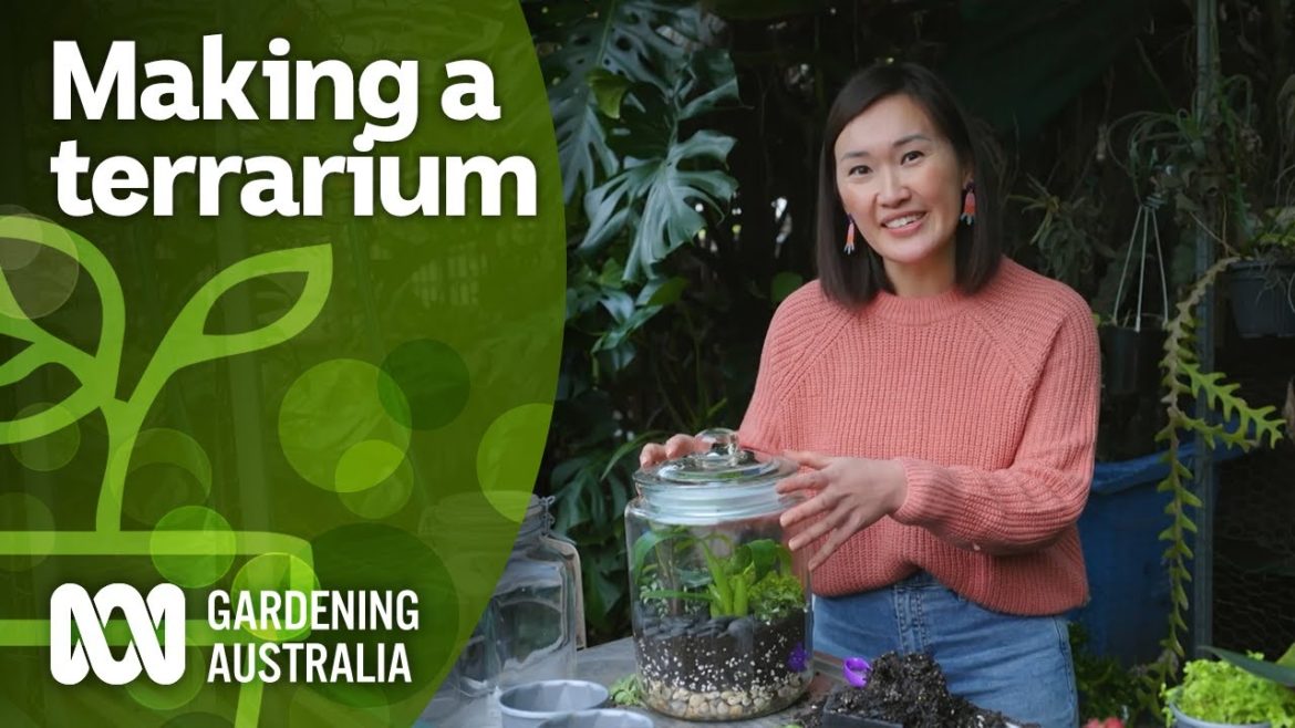 How to make a terrarium | Indoor plants | Gardening Australia How to make a terrarium | Indoor plants | Gardening Australia