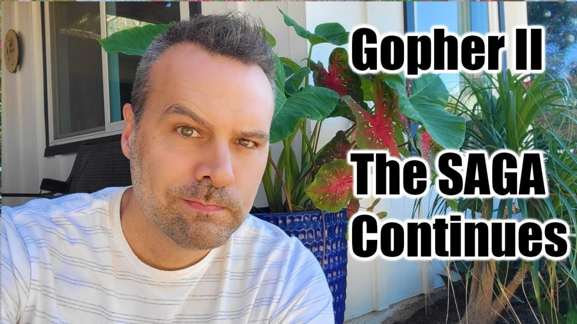 Did the Gopher Kill My Avocado Tree? How I'm Fighting Back!