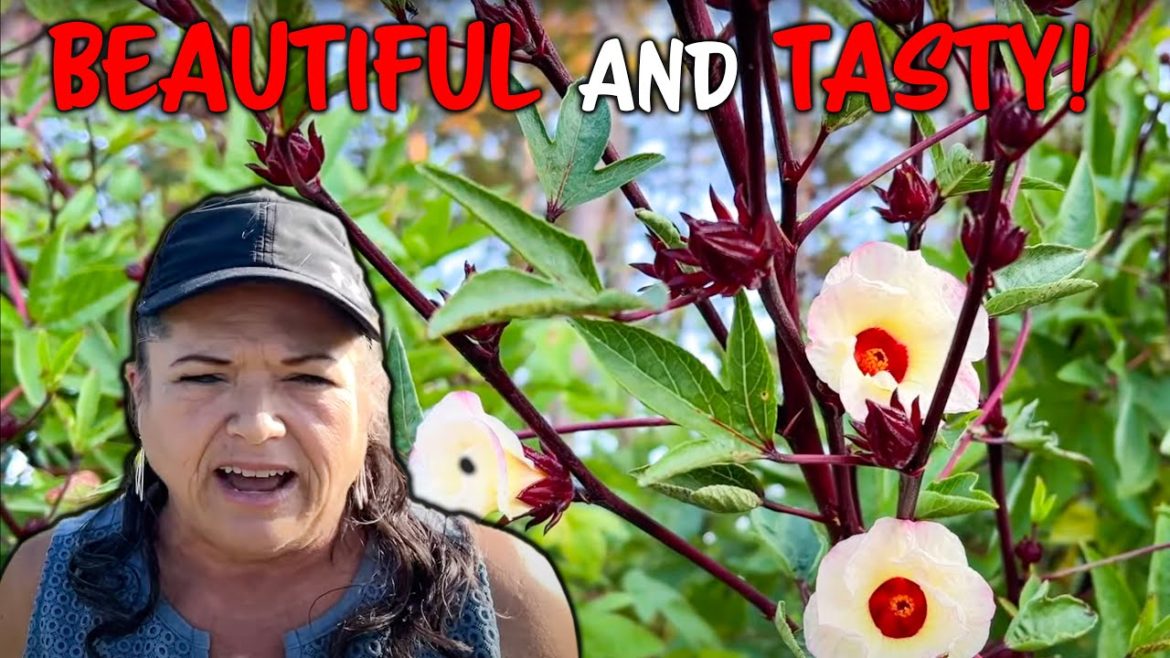 How To Grow An Edible Flower In Your Garden