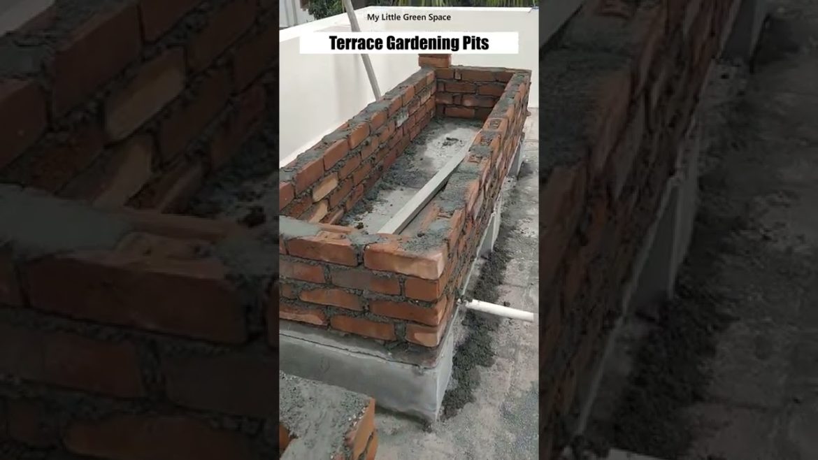 Terrace Gardening Pits | #shorts Terrace Gardening Pits | #shorts