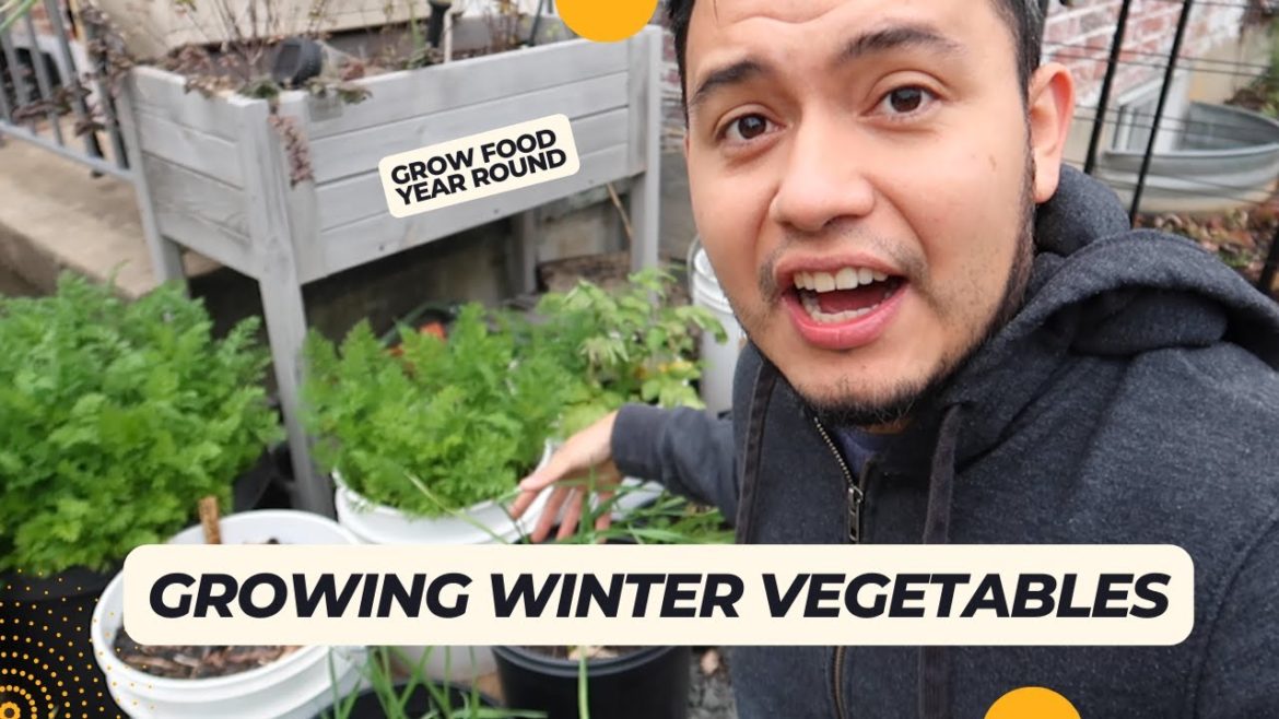 Growing Winter Vegetables Zone 7a