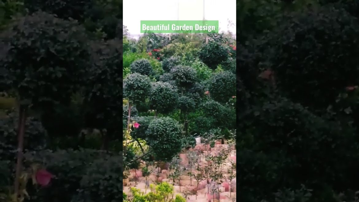 Beautiful Garden Design for all.    #shorts Beautiful Garden Design for all.    #shorts