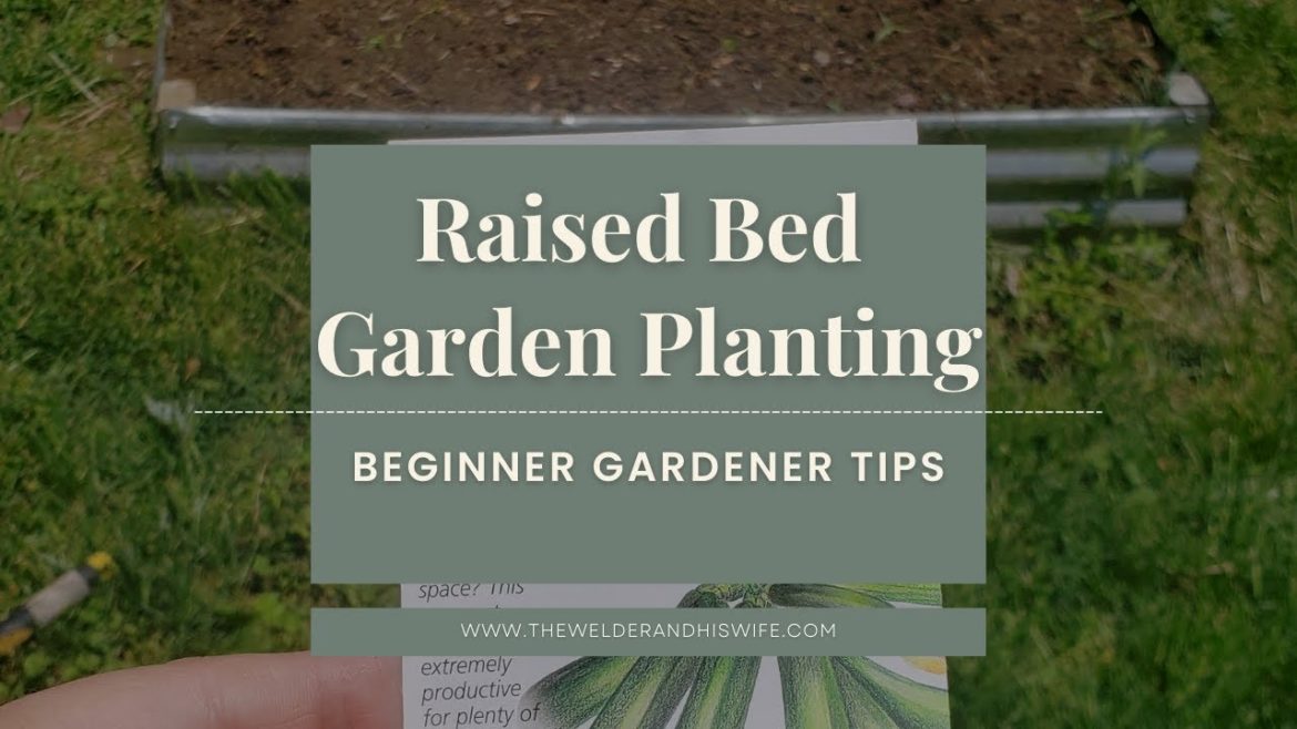 Raised Bed Garden Planting | Beginner Gardener Tips Raised Bed Garden Planting | Beginner Gardener Tips