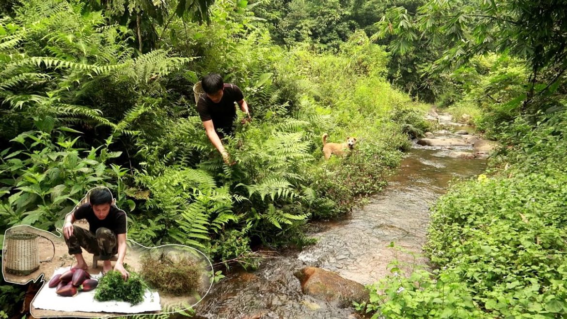 Plant a new vegetable crop, harvest wild vegetables to sell at the market – Thanh Building life Plant a new vegetable crop, harvest wild vegetables to sell at the market - Thanh Building life