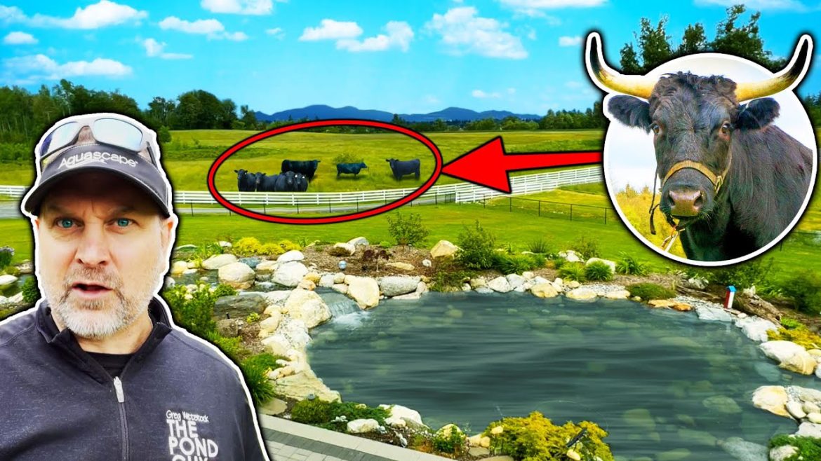 BULLS, RecPOND, and Pickleball. 3 things I didn't expect.