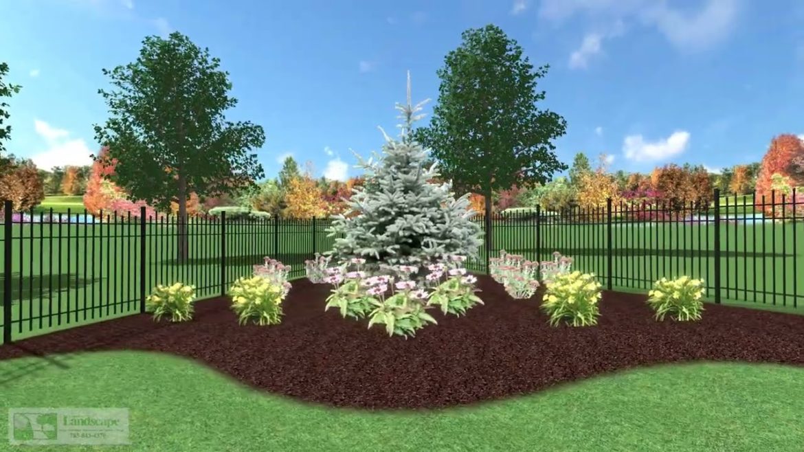 Backyard Landscape Design