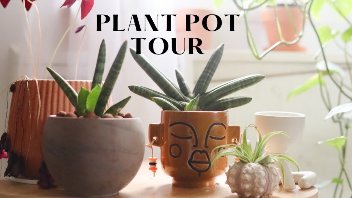 My Plant Pot Collection | My Pottery Collection + Plant Accessories (Pt.1) My Plant Pot Collection | My Pottery Collection + Plant Accessories (Pt.1)
